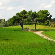 Landscape on Via Francigena